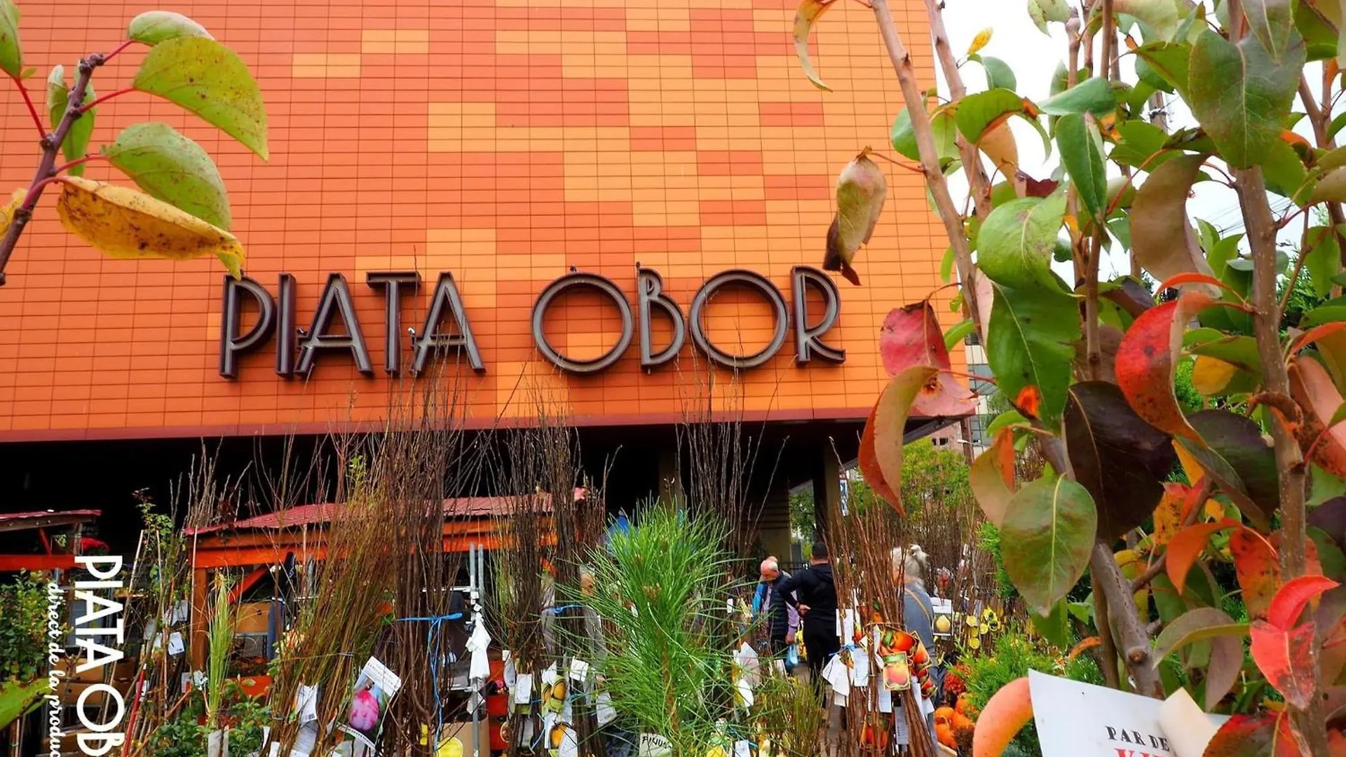 Cozy City Retreat, Obor Market & Metro Bucharest 0*,